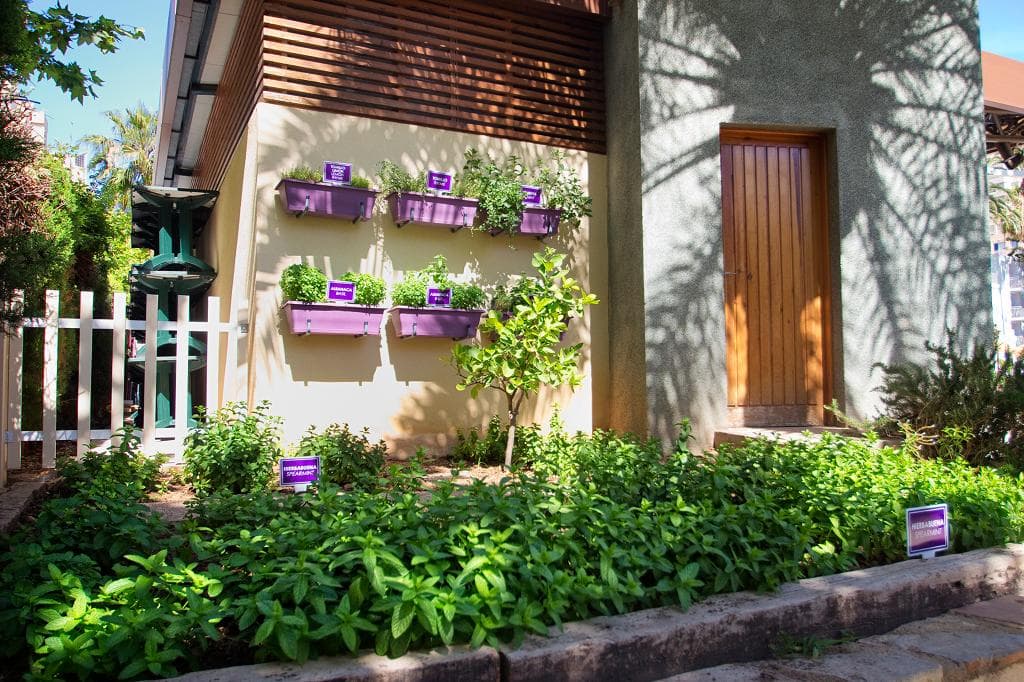 undefined image 24