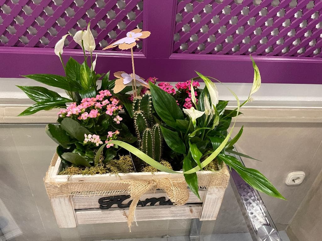undefined image 22