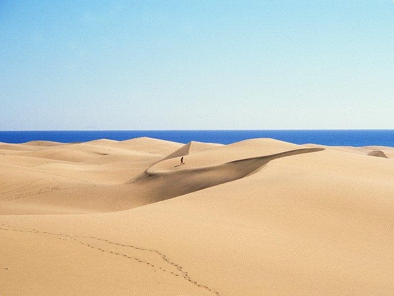undefined image 39