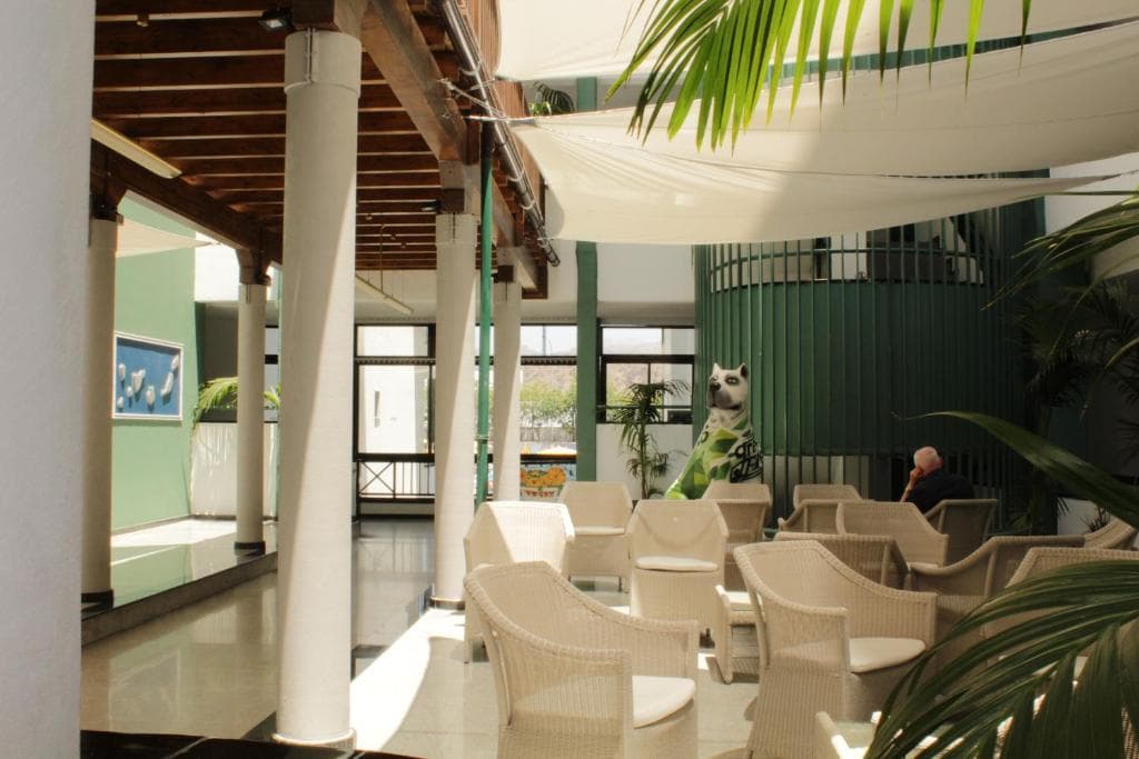 undefined image 23