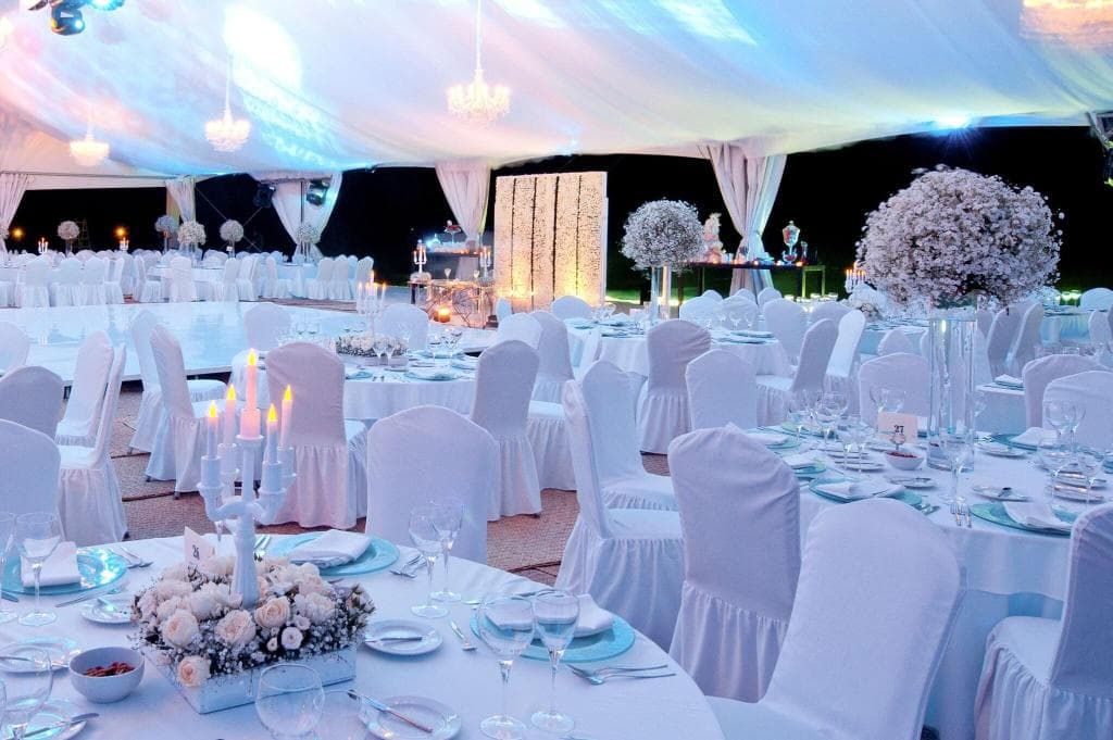 undefined image 220