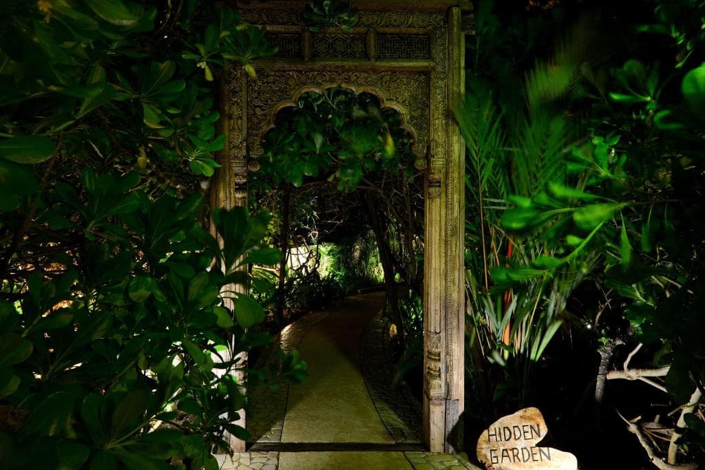 undefined image 238