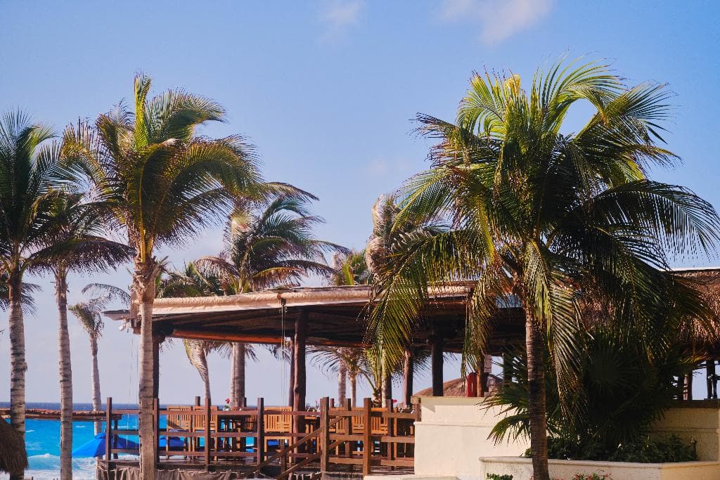 undefined image 75