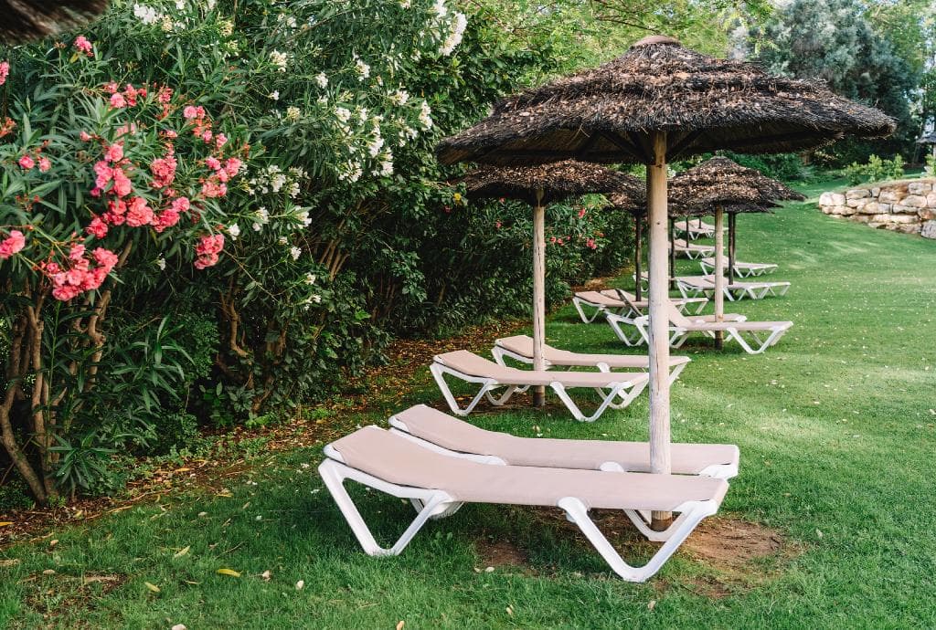 undefined image 34