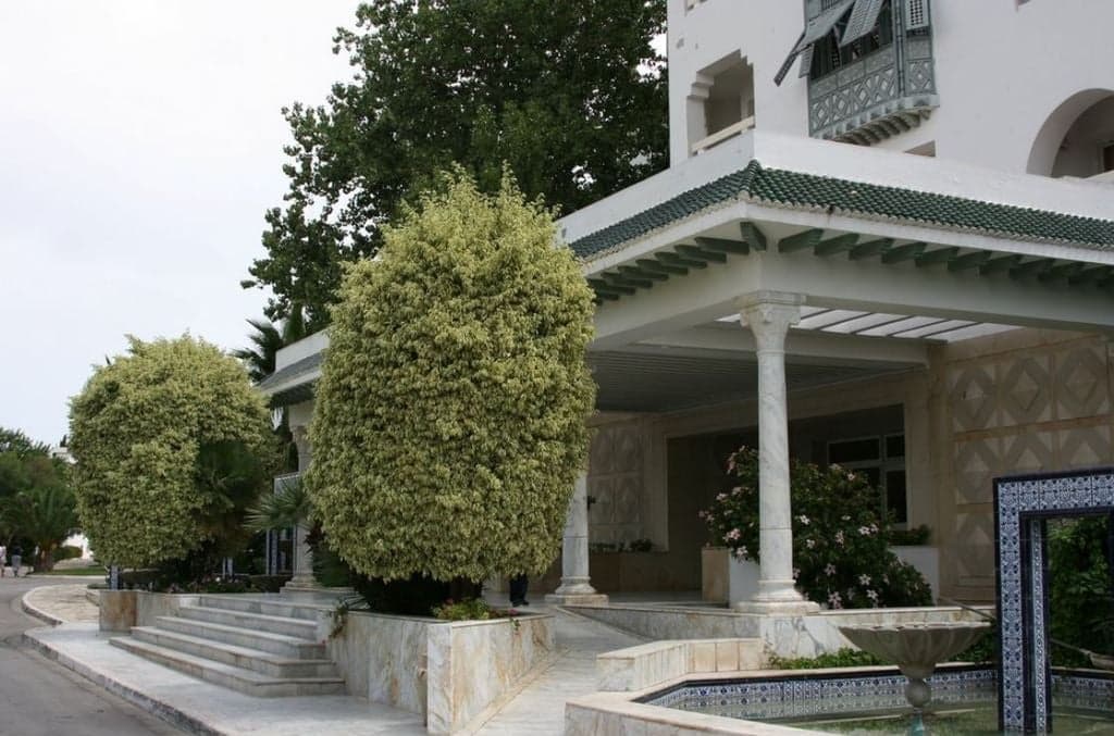 undefined image 6