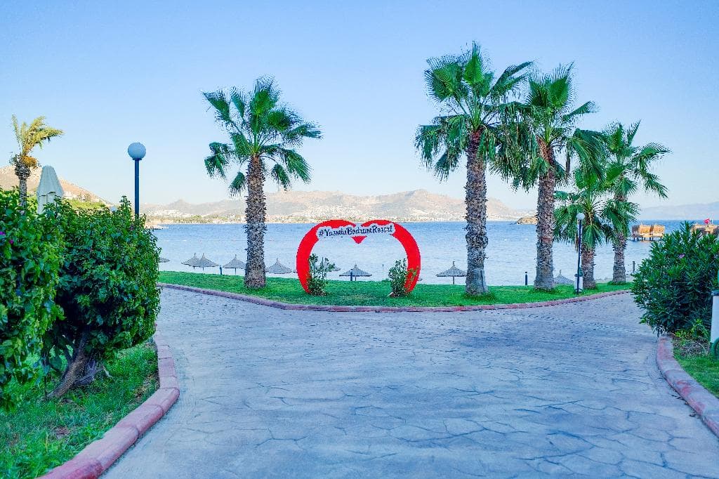 undefined image 40