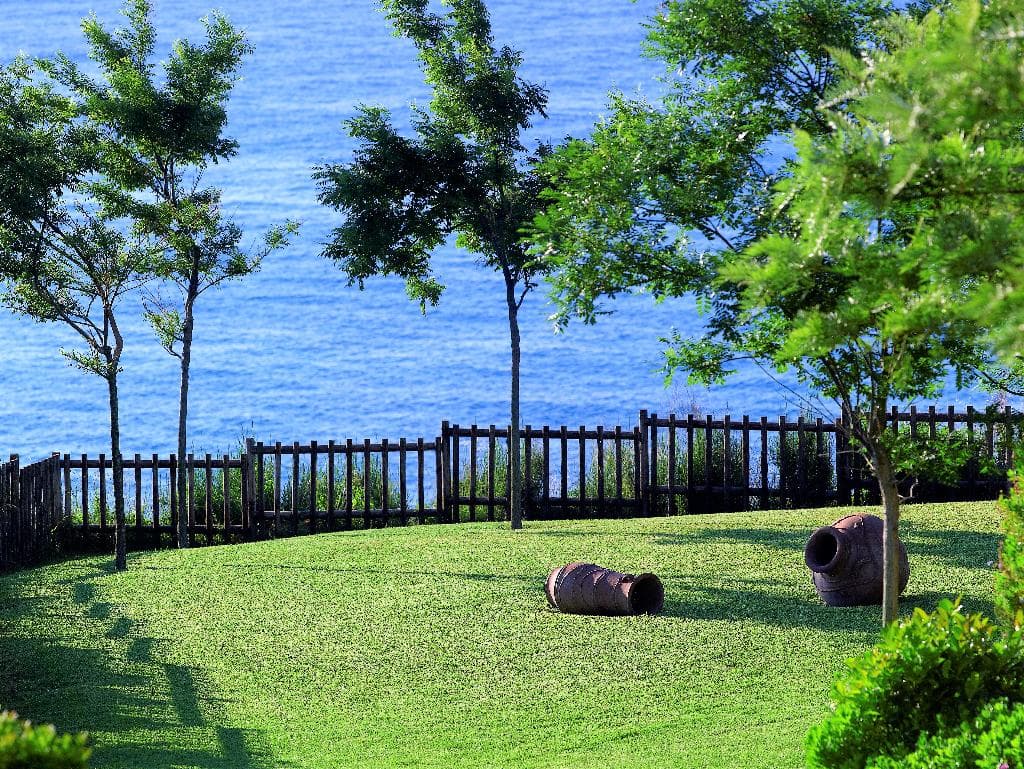 undefined image 29