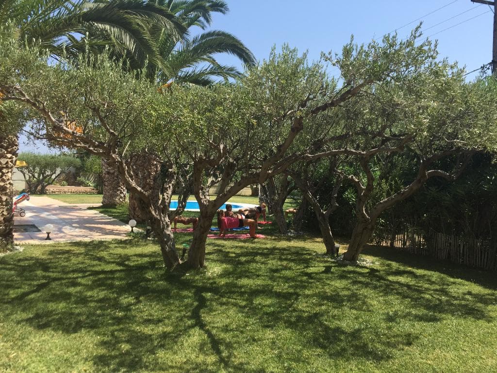 undefined image 14