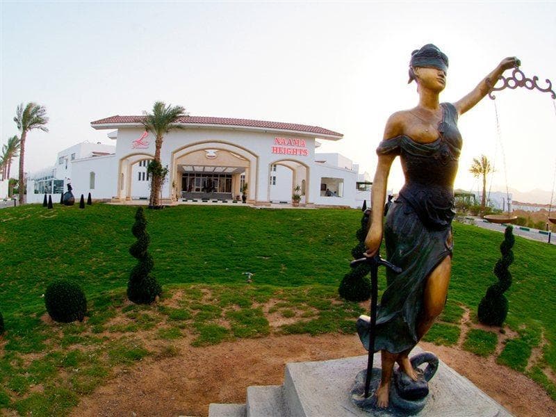 undefined image 11