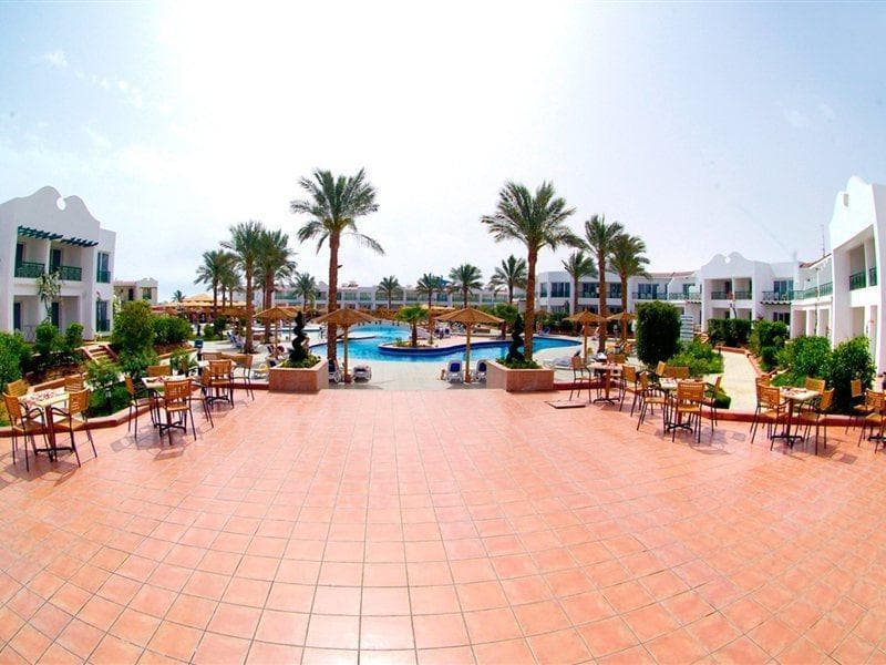 undefined image 12