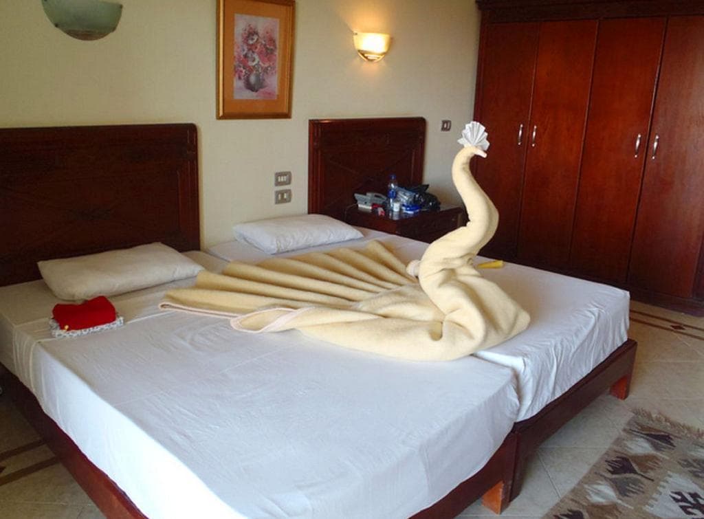 undefined image 6