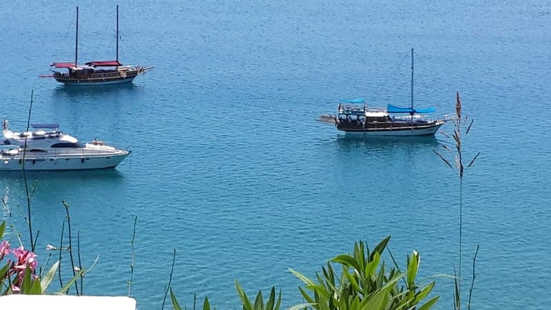undefined image 12