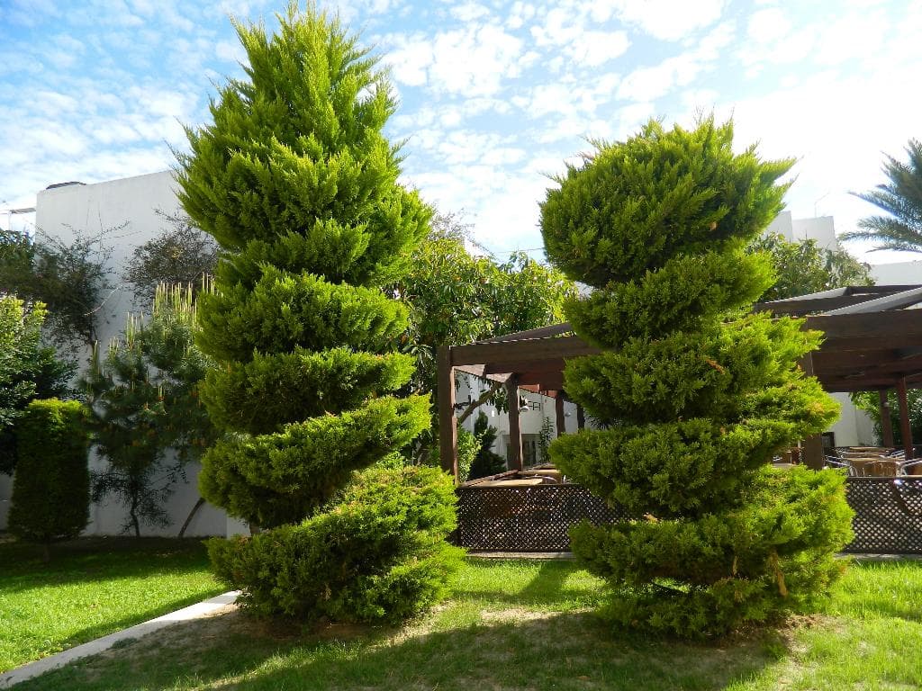 undefined image 44