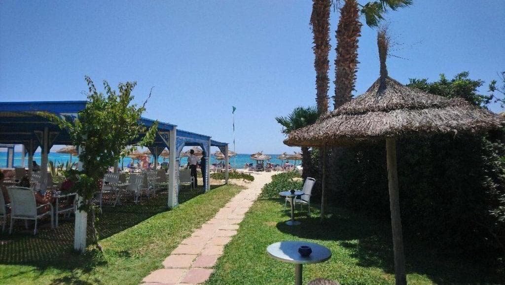 undefined image 11