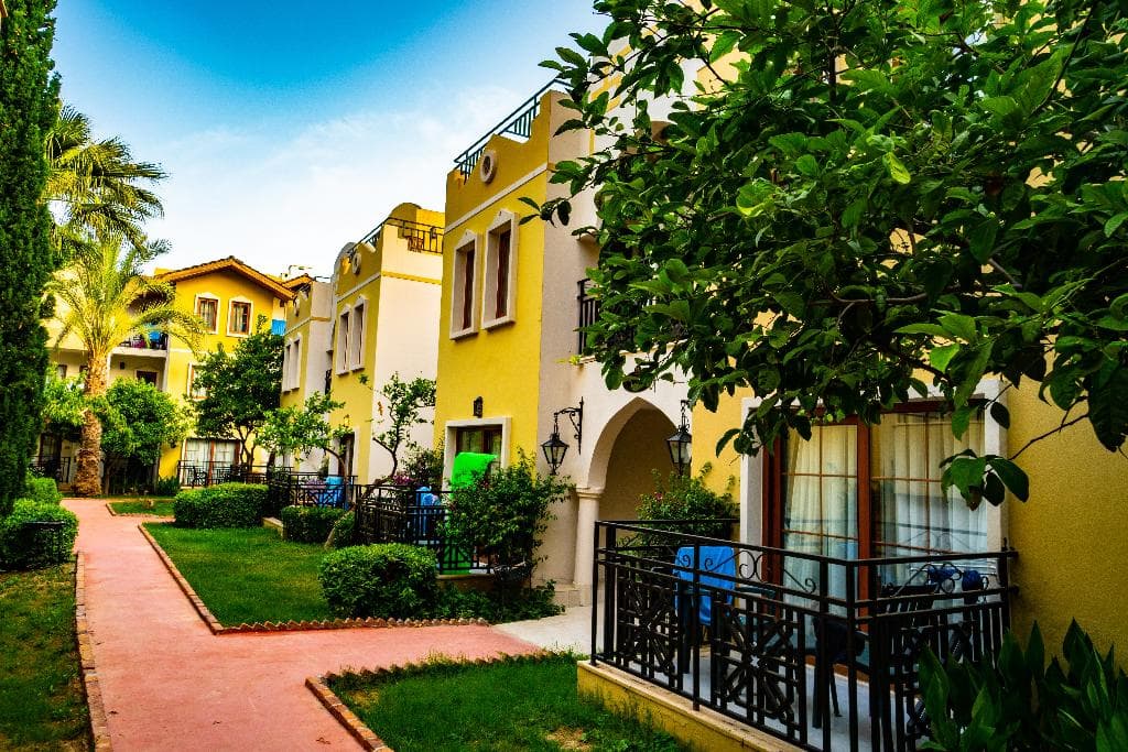 undefined image 5