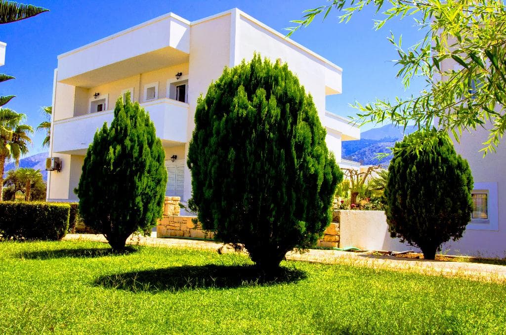 undefined image 44