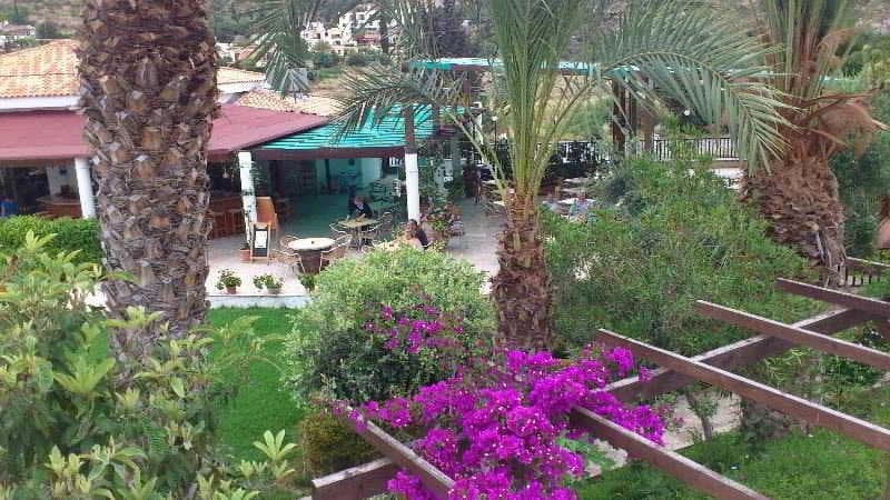 undefined image 75