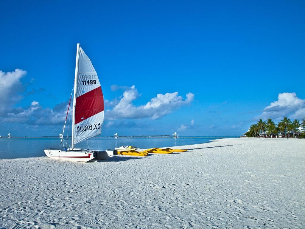 undefined image 25