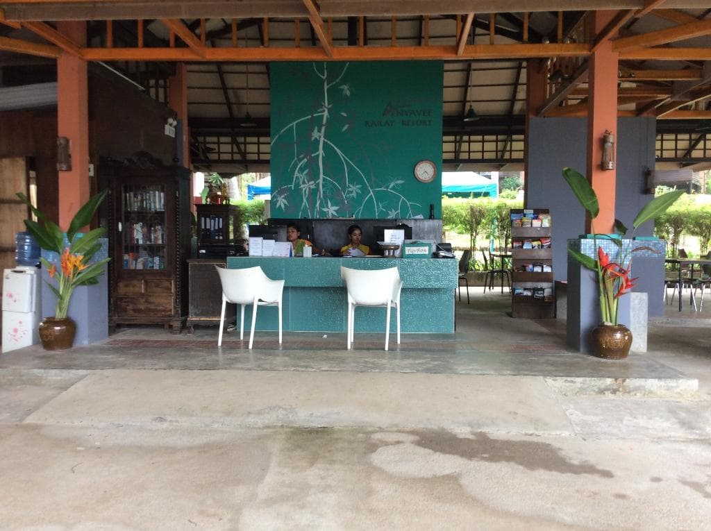 undefined image 15