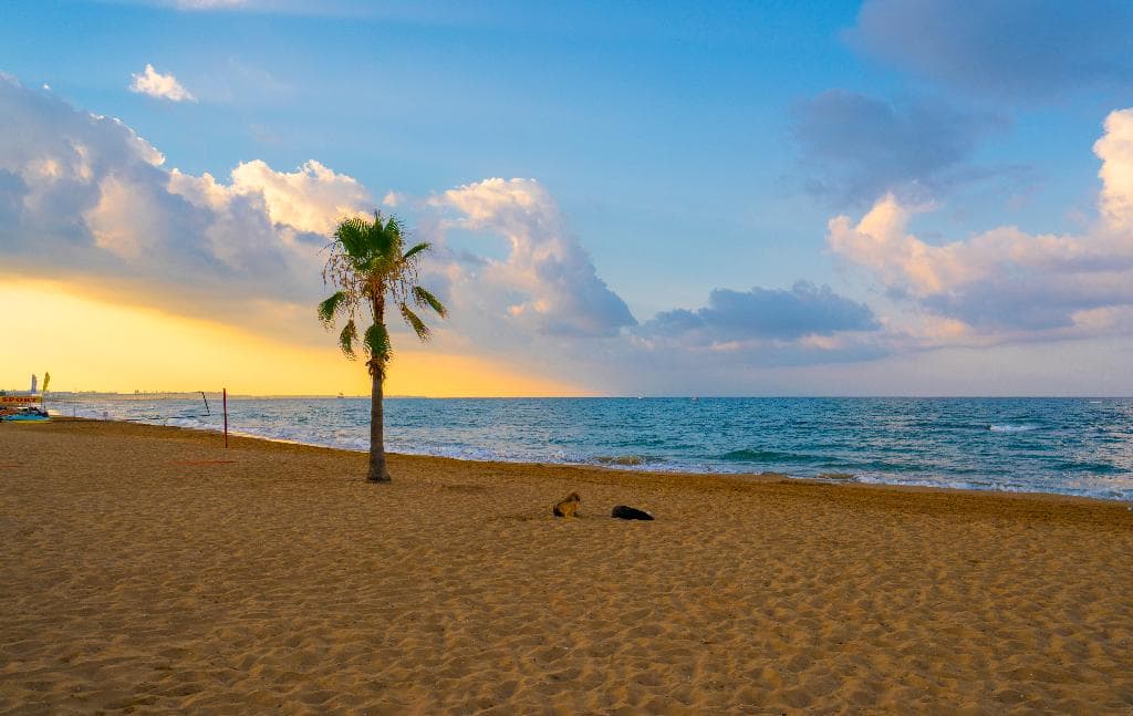 undefined image 24