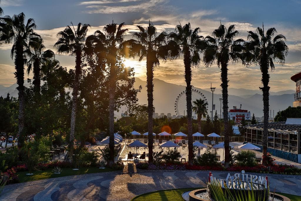 undefined image 21