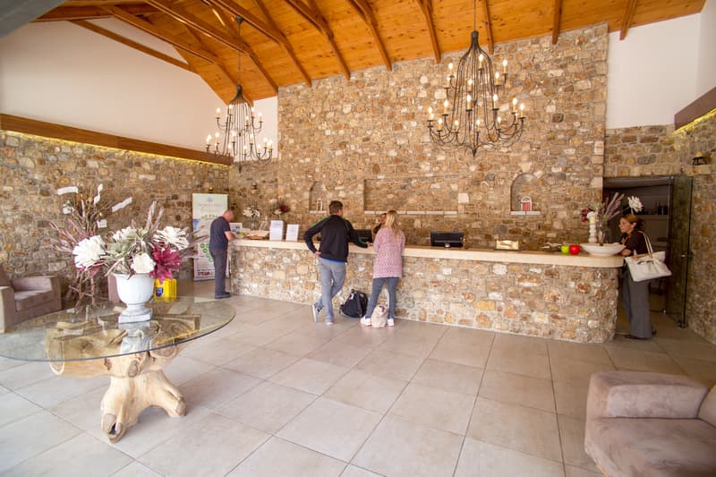 undefined image 14