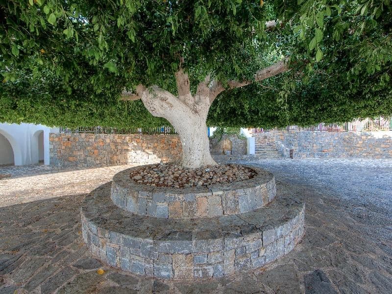 undefined image 2