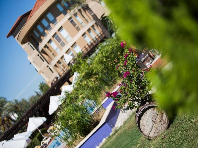 undefined image 25