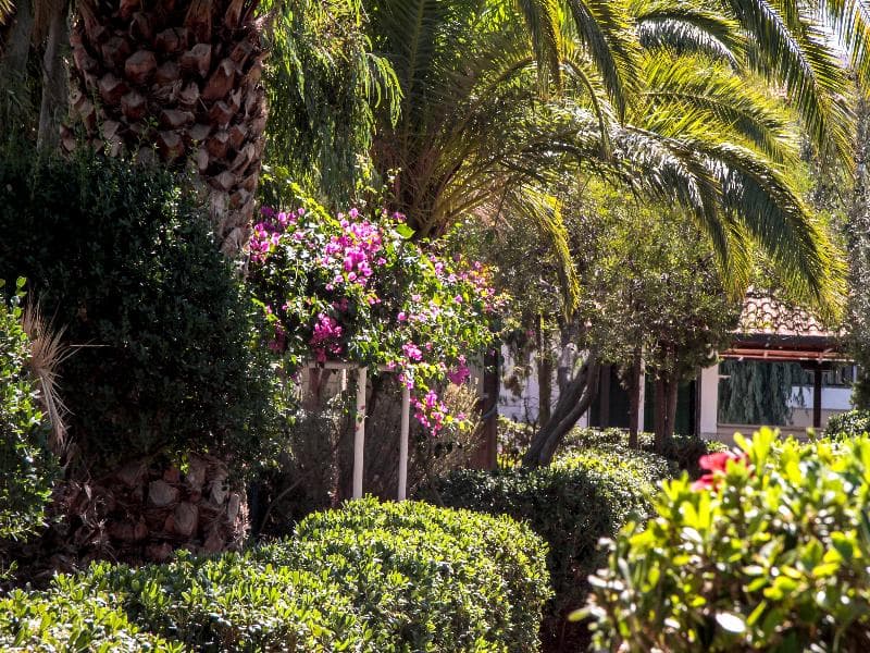 Club Lyda Hotel