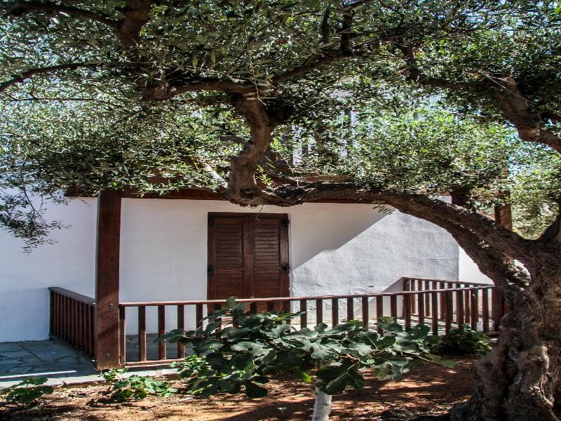 undefined thumbnail 4