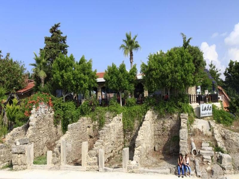 undefined image 16