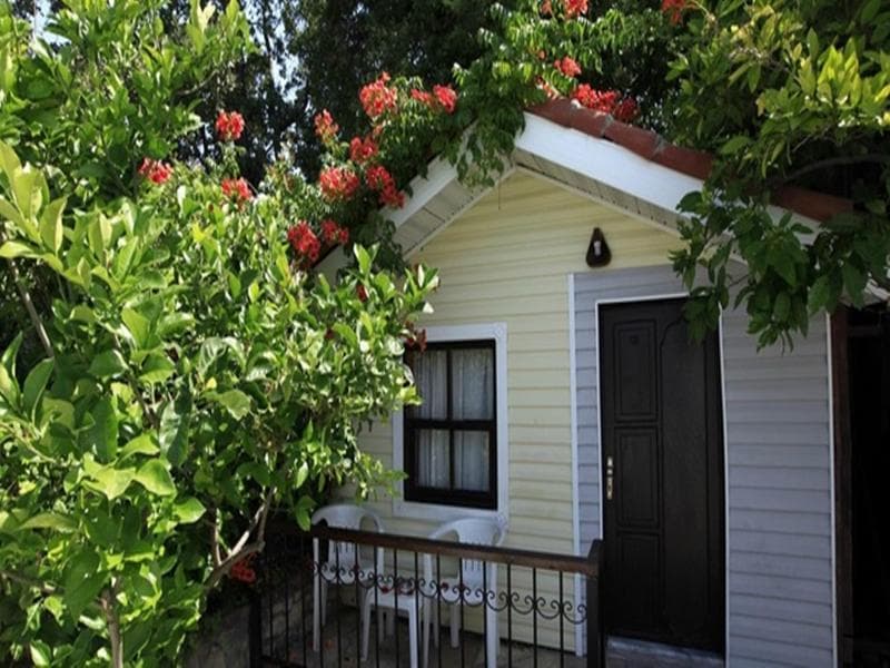 undefined image 23
