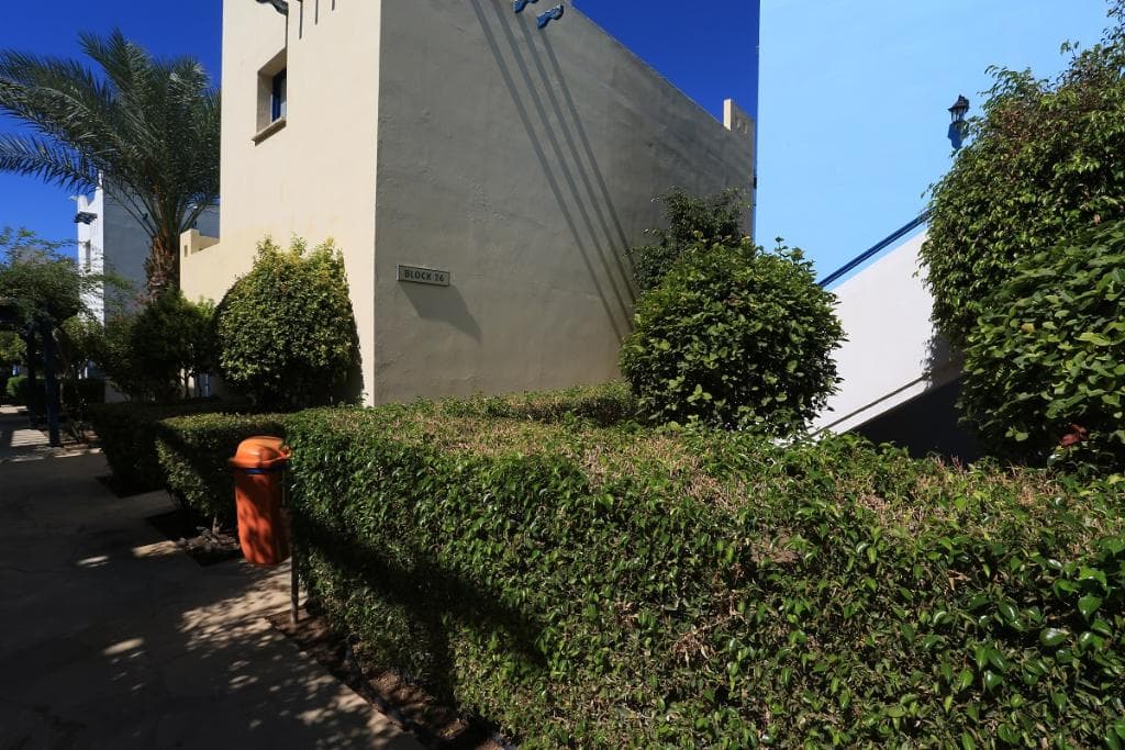 undefined image 31