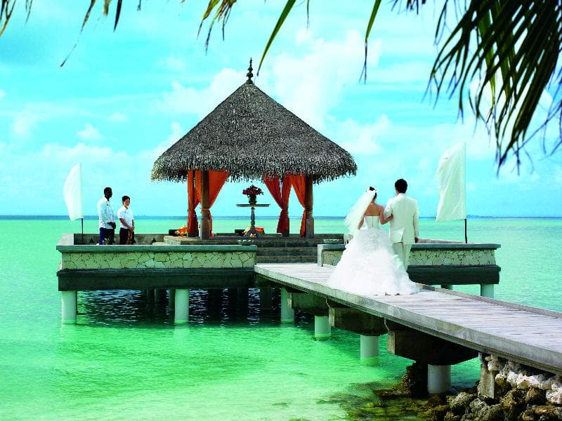 undefined image 23