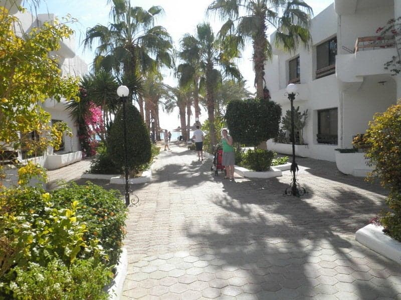 undefined image 23