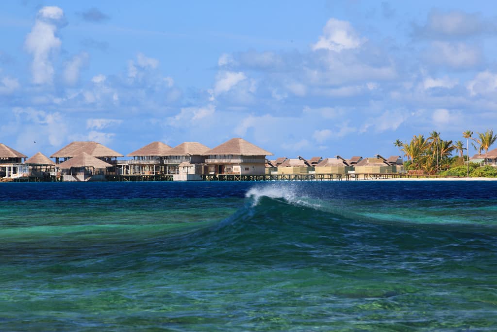 undefined image 29
