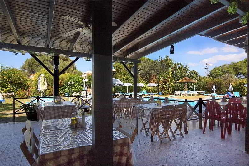 undefined image 12
