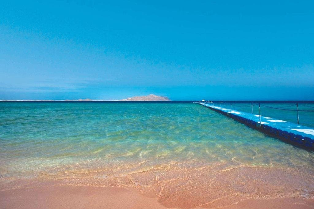 undefined image 24