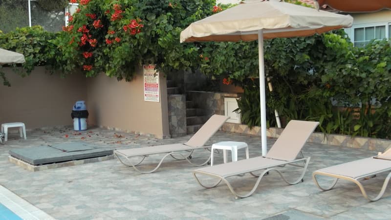 undefined image 24