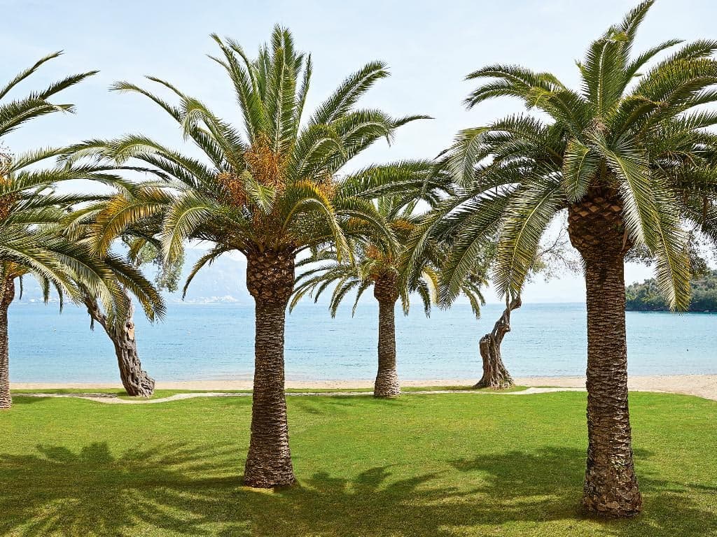 undefined image 11