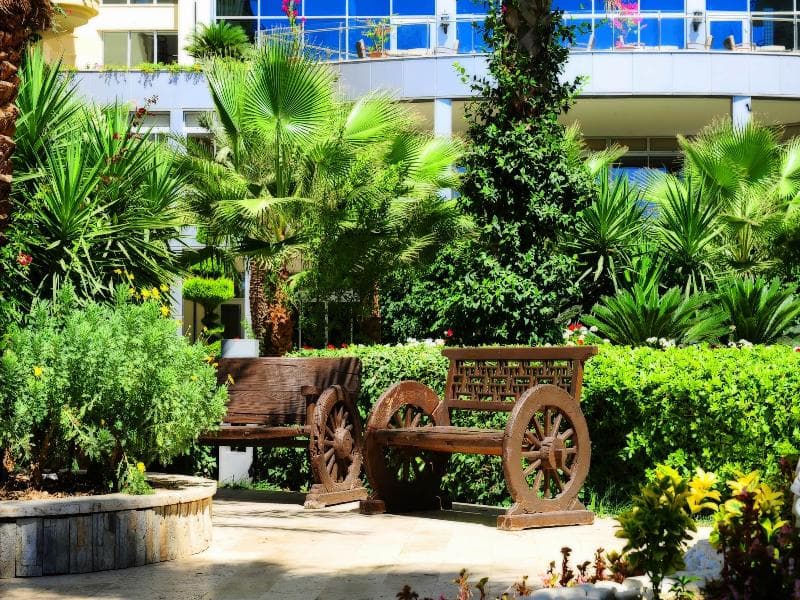 undefined image 16