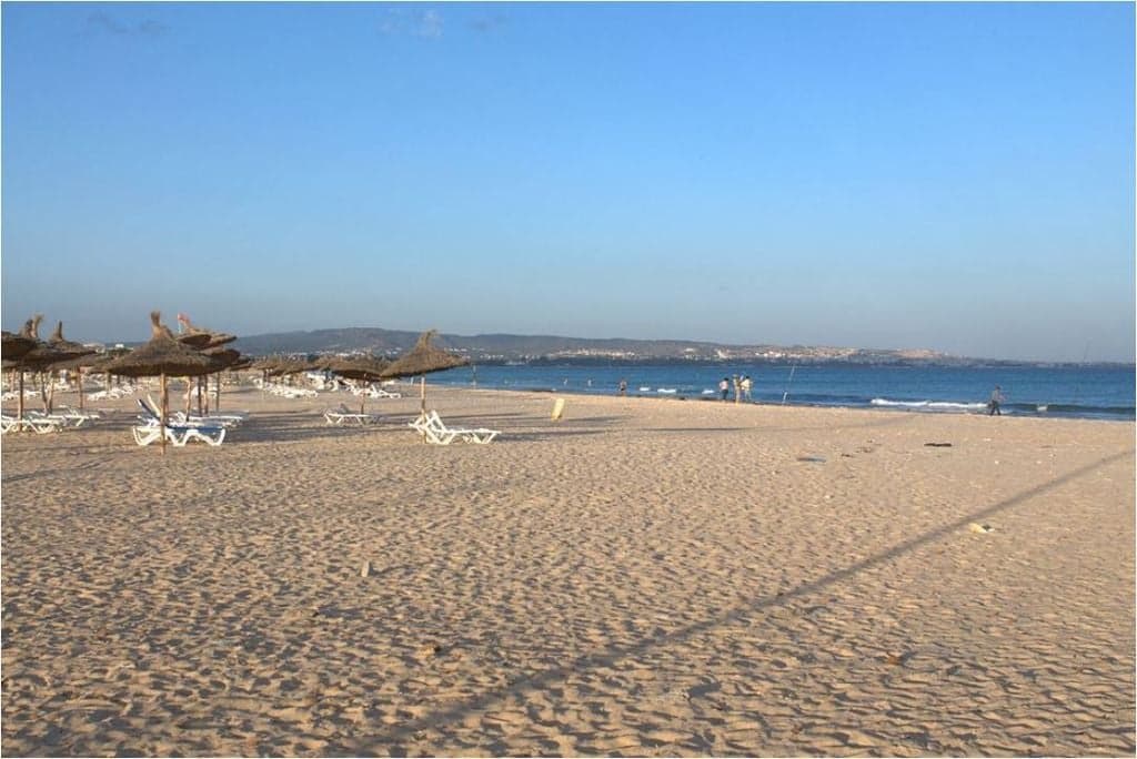 undefined image 8