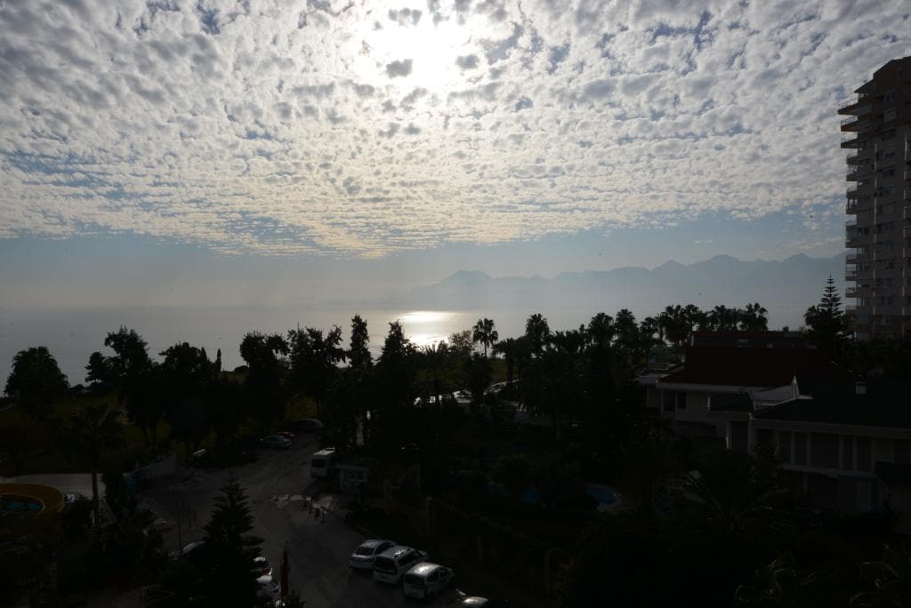 undefined image 9