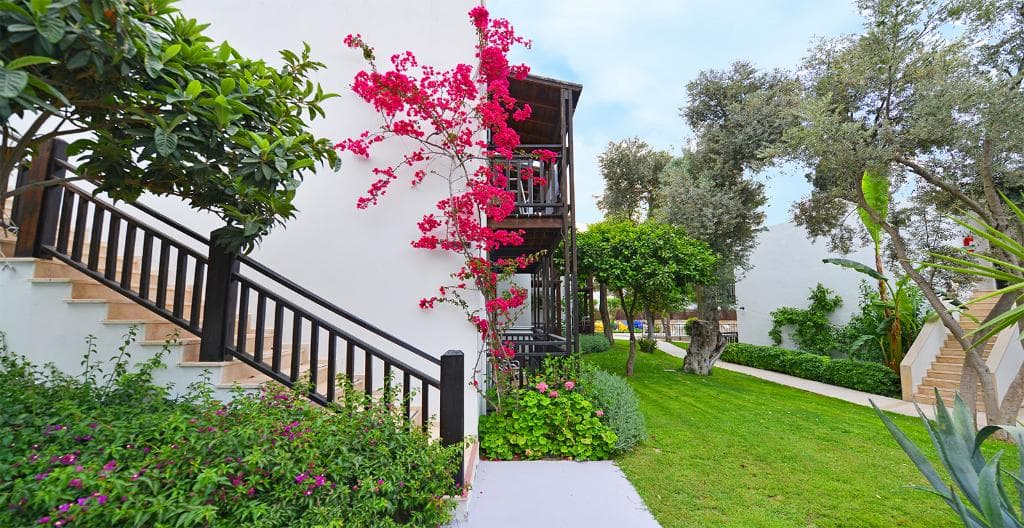 undefined image 44