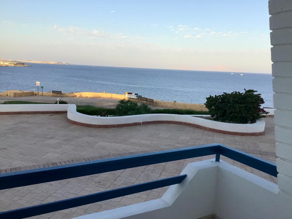 undefined image 11