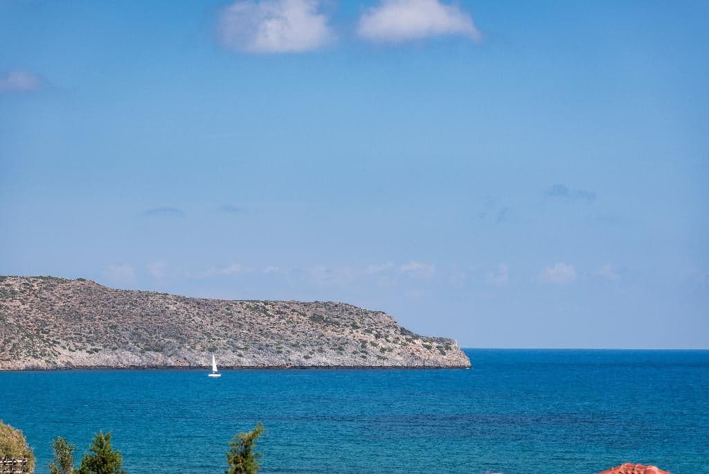 undefined image 79