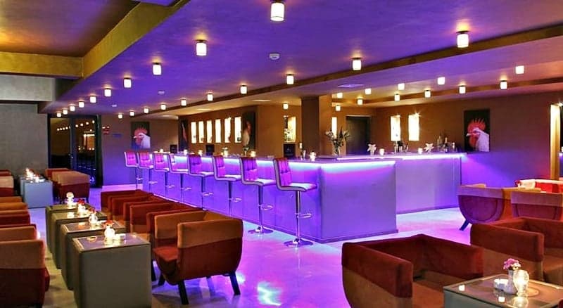 undefined image 15