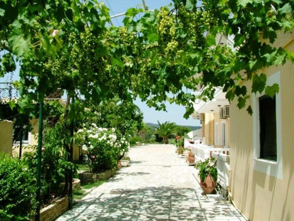 undefined image 11