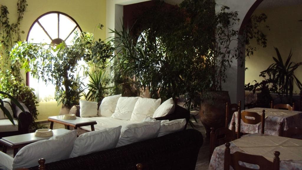 undefined image 21