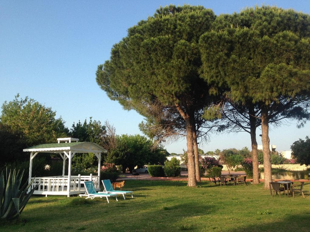 undefined image 6